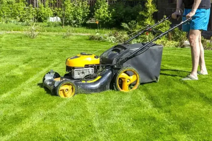 Affordable Lawn Mowing in Beaverton, OR