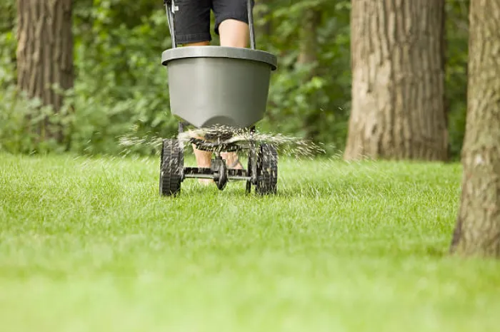 Dependable Lawn Fertilization in Beaverton, OR