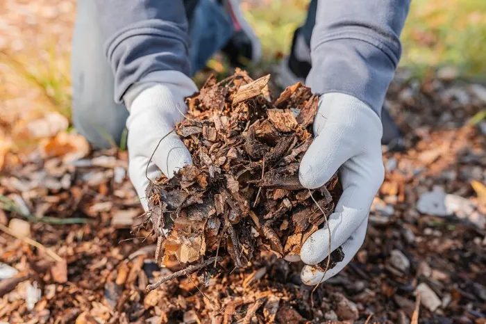 Dependable Mulching in Beaverton, OR