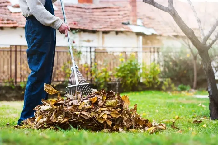 Detailed Yard Cleanup in Beaverton, OR