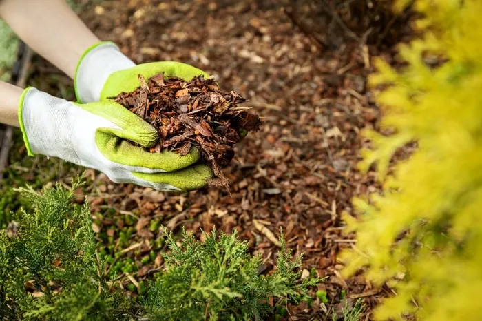 Excellent Mulching in Beaverton, OR