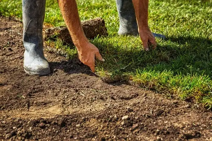 Excellent Sod Installation in Beaverton, OR