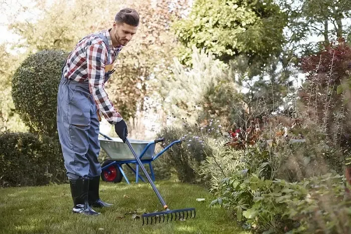 Exceptional Yard Cleanup in Beaverton, OR