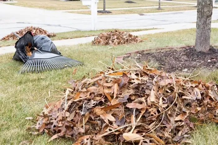 High-quality Yard Cleanup in Beaverton, OR