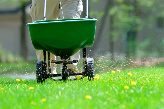 How often should you fertilize your lawn in Beaverton, OR