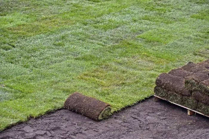 How to lay sod over existing lawn Beaverton, OR