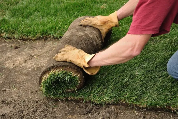 Proficient Sod Installation in Beaverton, OR