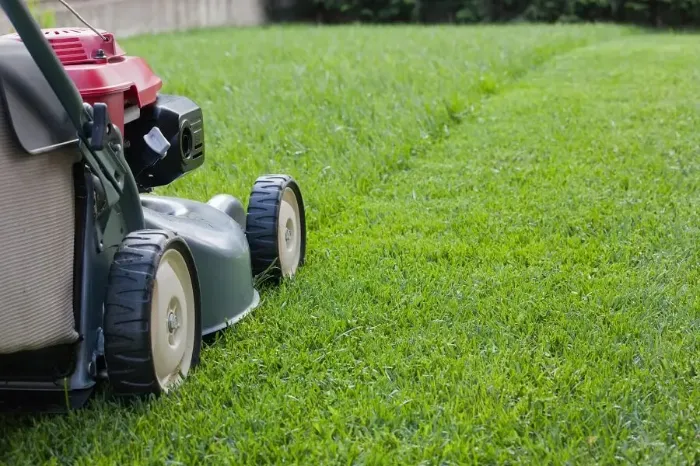 Reliable Lawn Mowing in Beaverton, OR