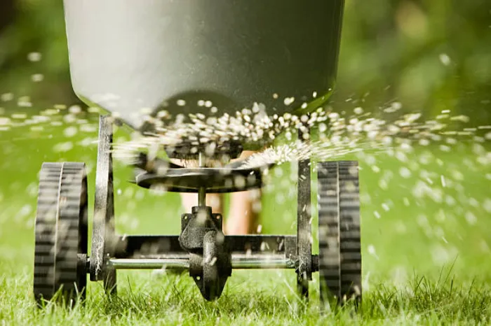 Top-notch Lawn Fertilization in Beaverton, OR