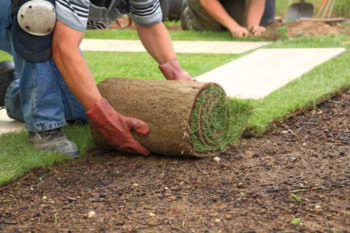 Trusted Sod Installation in Beaverton, OR