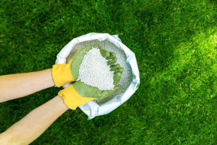 When is the best time to fertilize your lawn Beaverton, OR